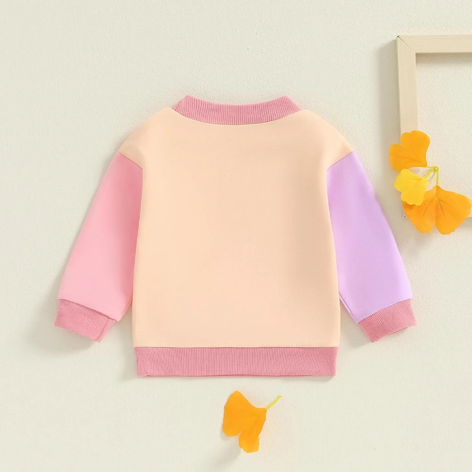 Toddler Baby Girl Boy Sweatshirt Color Block Long Sleeve Oversized Crewneck Pullover Tops Fall Winter Outfits